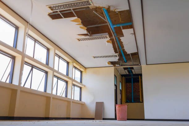 Best Commercial water damage restoration  in Lamont, MI