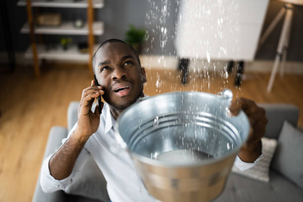 Best 24-hour water damage restoration  in Lamont, MI
