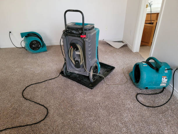 24/7 water damage repair in Lamont, MI