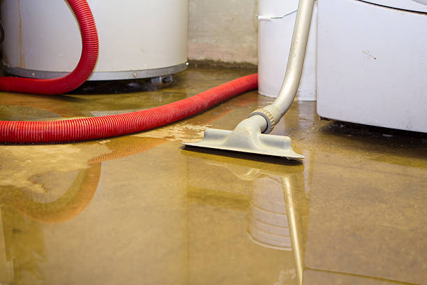 Best 24/7 water damage repair  in Lamont, MI