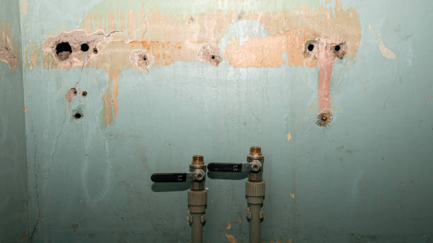  Lamont, MI Water damage restoration Pros