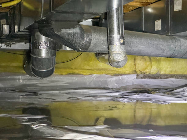 Best Flooded house restoration  in Lamont, MI