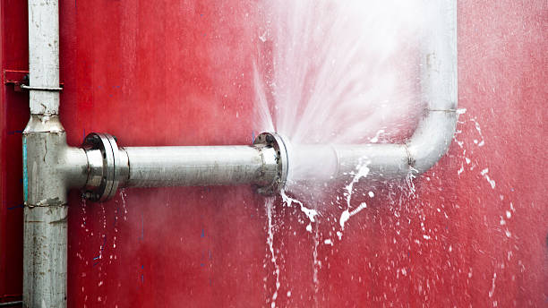Water damage restoration mold remediation in Lamont, MI